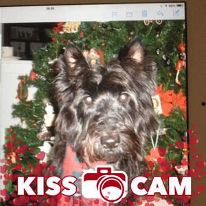 Meet your Posher, Bonnie